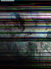 Random image
