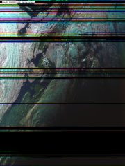 Random image